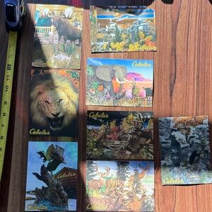 Vintage Cabela's Wildlife Scene Postcard Collection